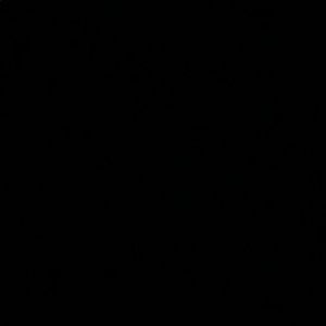 Meet your Posher, Gunner